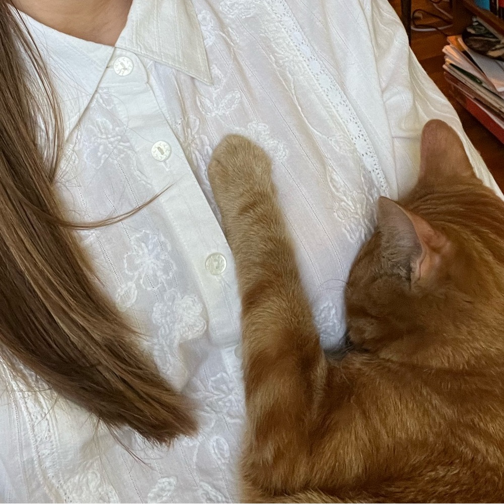 🐱CAITIE’s LIVE SHOW💛